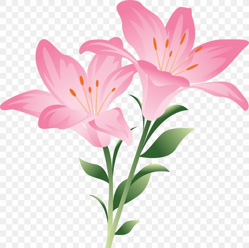 Pink Flowers Lilium 'Stargazer' Lilium Bulbiferum Clip Art, PNG, 1200x1198px, Pink Flowers, Alstroemeriaceae, Arumlily, Cut Flowers, Floral Design Download Free