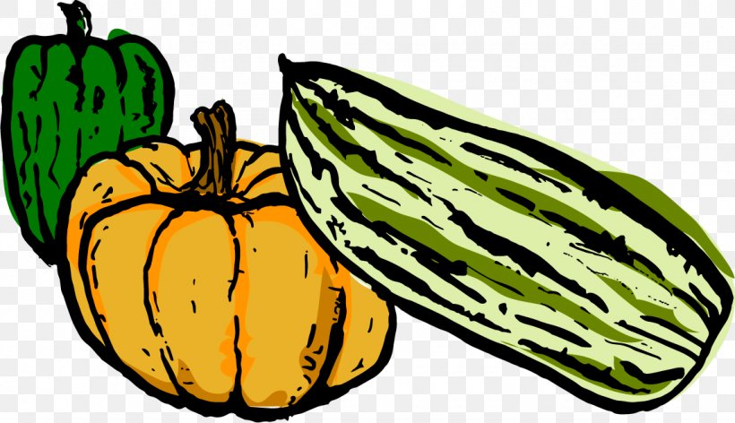 Pumpkin Gourd Calabaza Vegetarian Cuisine Melon, PNG, 1145x660px, Pumpkin, Butterfly, Calabaza, Commodity, Cucumber Gourd And Melon Family Download Free