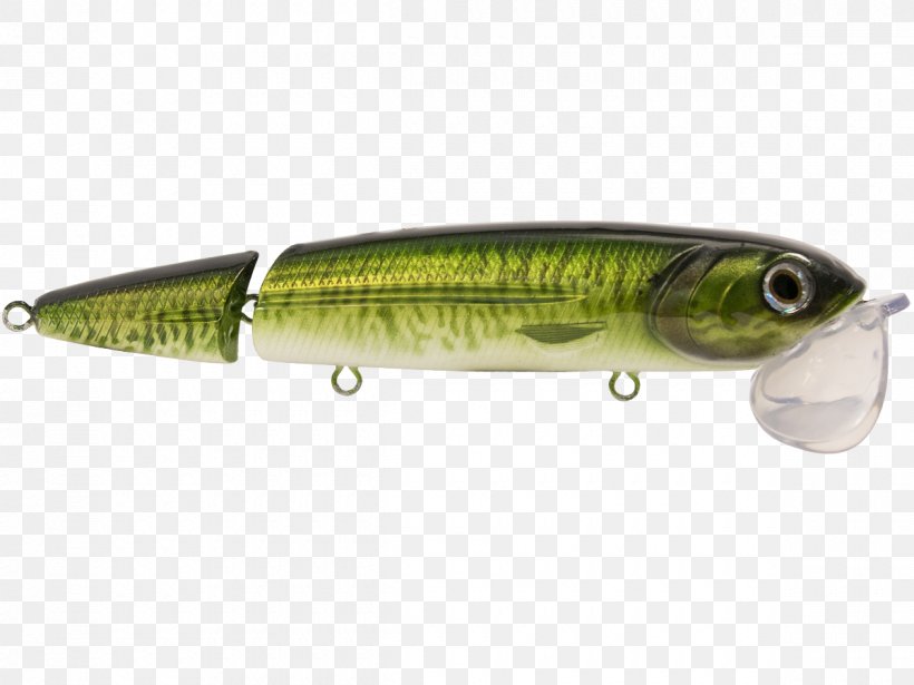 Sardine Northern Pike Spoon Lure Oily Fish Perch, PNG, 1200x900px, Sardine, Ac Power Plugs And Sockets, Bait, Bony Fish, Fish Download Free