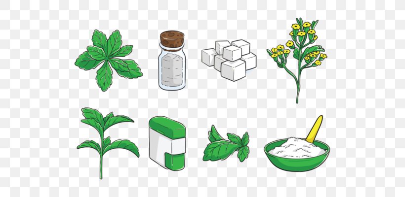 Stevia Drawing Clip Art, PNG, 571x400px, Stevia, Drawing, Flower, Flowering Plant, Flowerpot Download Free