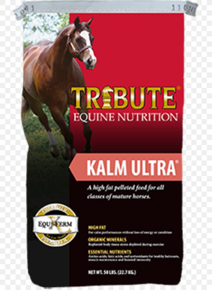 Horse Equine Nutrition Pelletizing Animal Feed Nutrient, PNG, 800x1120px, Horse, Advertising, Alfalfa, Animal Feed, Beet Pulp Download Free