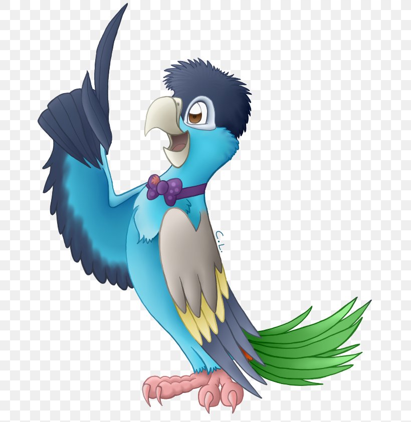 Macaw Drawing Art Clip Art, PNG, 695x843px, Macaw, Art, Beak, Bird, Cartoon Download Free