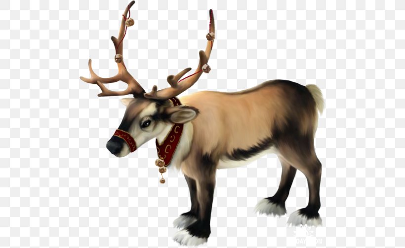 Rudolph Santa Claus Mrs. Claus Christmas Cartoon, PNG, 500x503px, Rudolph, Antler, Cartoon, Christmas, Christmas And Holiday Season Download Free