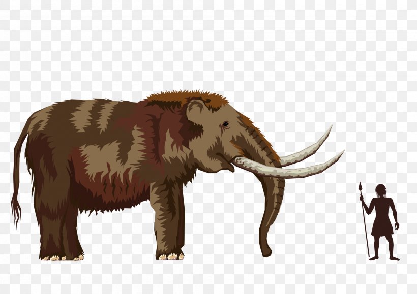 African Elephant Mastodon Elephantidae Woolly Mammoth Ice Age, PNG, 2000x1414px, African Elephant, Animal, Cattle Like Mammal, Caveman, Elephant Download Free