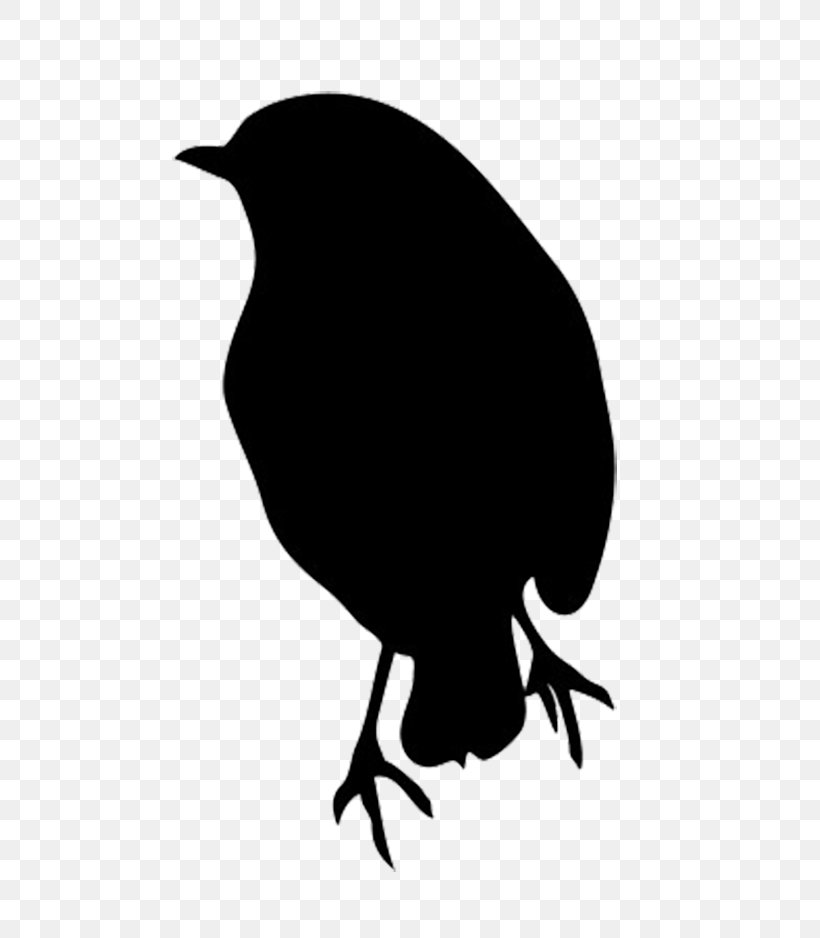 Bird Silhouette American Robin Clip Art, PNG, 612x938px, Bird, American Crow, American Robin, Art, Beak Download Free