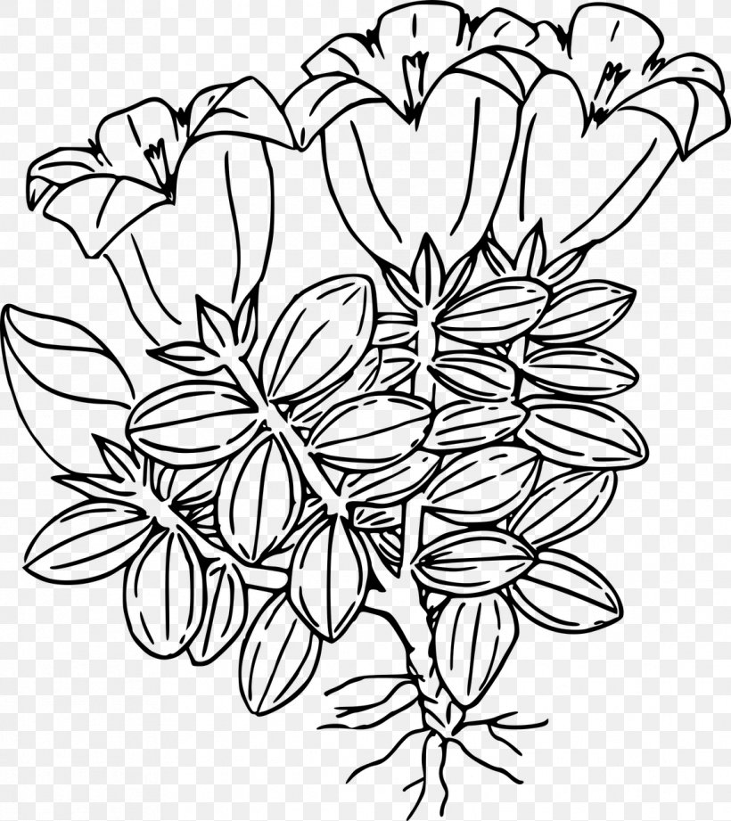 Drawing Flower, PNG, 1139x1280px, Drawing, Black, Black And White, Branch, Cut Flowers Download Free