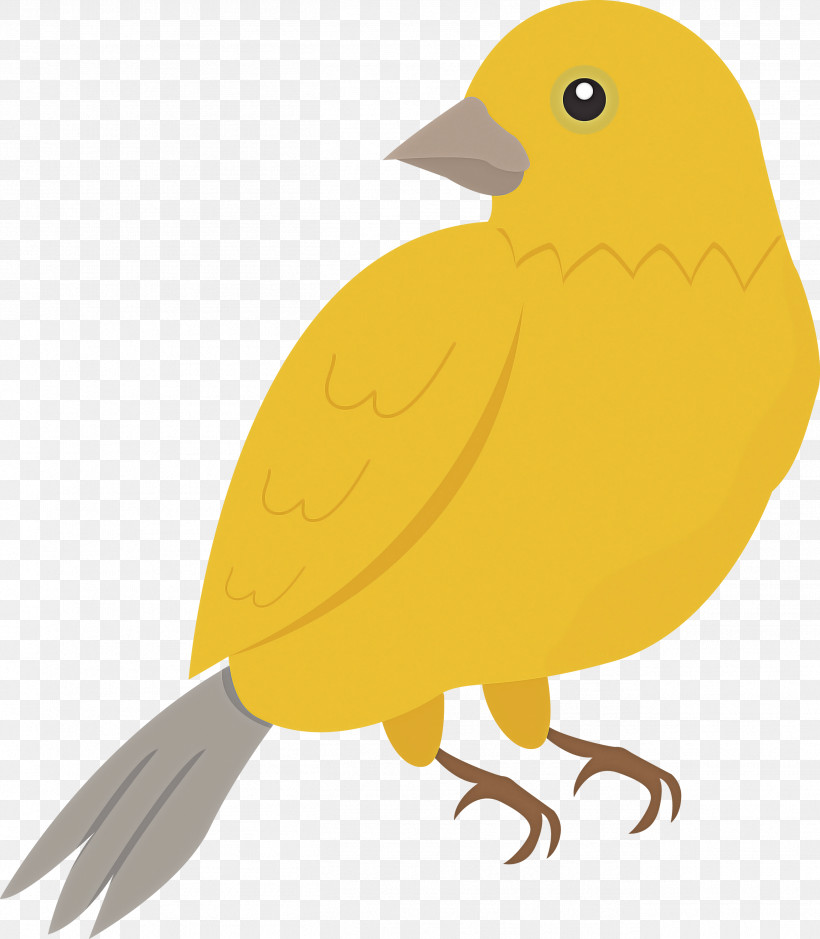 Feather, PNG, 2619x3000px, Cartoon Bird, Andean Condor, Beak, Birds, Birds Wing Download Free