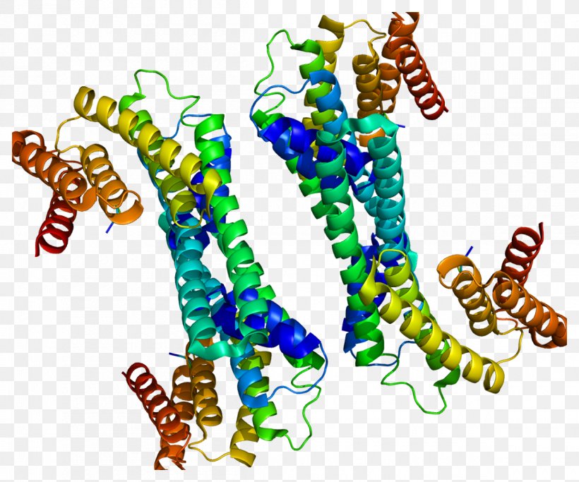 YWHAH 14-3-3 Protein Phosphoserine Gene, PNG, 1200x1000px, Watercolor, Cartoon, Flower, Frame, Heart Download Free