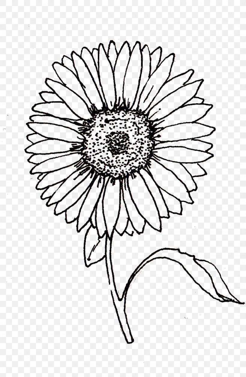 Drawing Line Art Visual Arts, PNG, 860x1315px, Drawing, Art, Artwork, Black And White, Cut Flowers Download Free