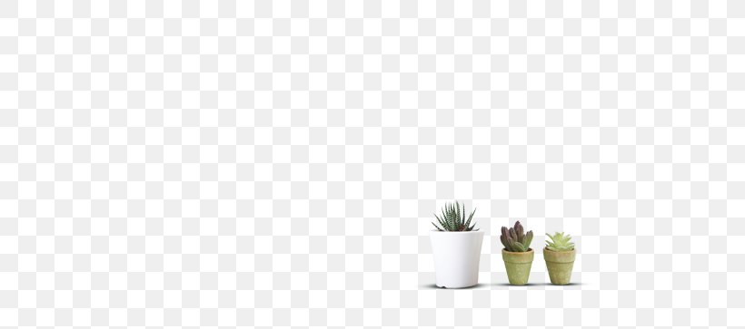 Flowerpot Citroën Cactus M, PNG, 700x363px, Flowerpot, Cactus, Grass, Plant, Vase Download Free