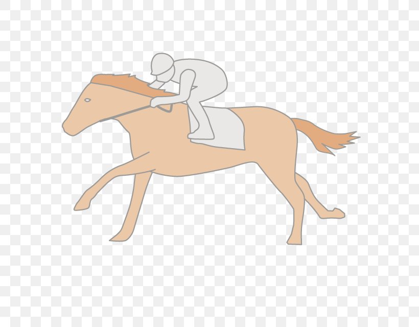 Foal Mustang Stallion Colt Rein, PNG, 640x640px, Foal, Animal Figure, Arm, Bridle, Colt Download Free