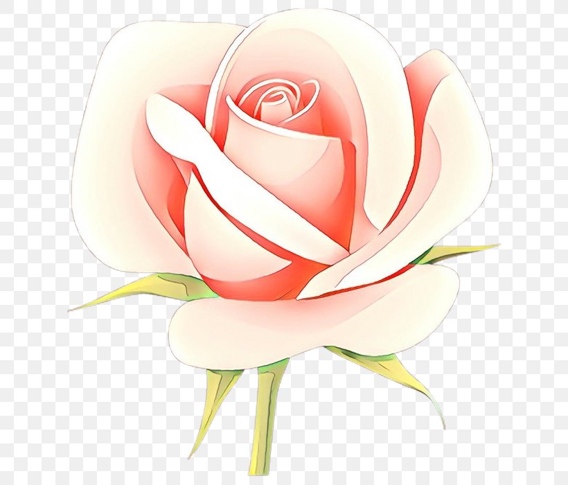 Garden Roses, PNG, 700x700px, Cartoon, Flower, Garden Roses, Hybrid Tea Rose, Petal Download Free