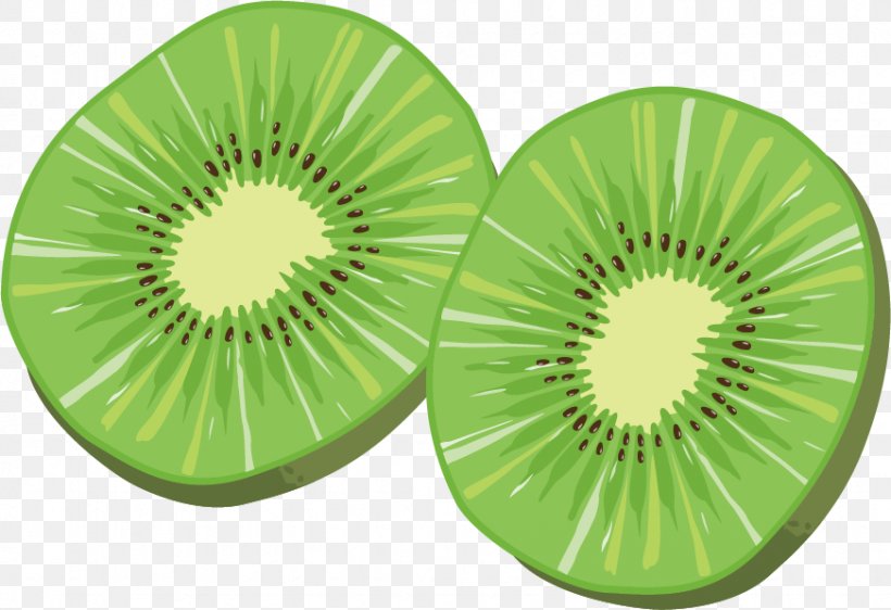 Kiwifruit, PNG, 872x598px, Kiwifruit, Artworks, Data, Drawing, Food Download Free