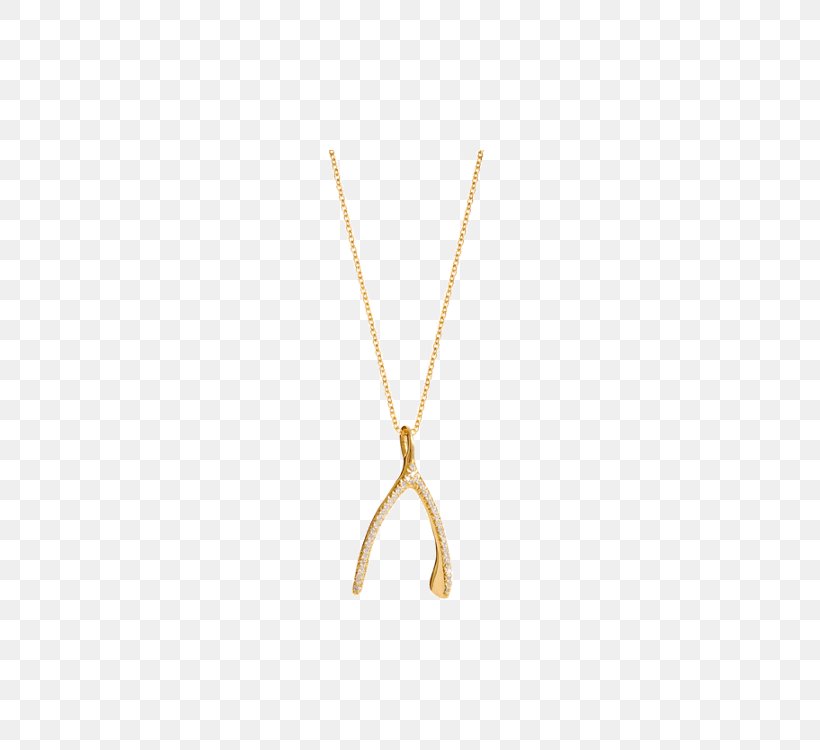Locket Necklace Body Jewellery Jennifer Aniston, PNG, 450x750px, Locket, Body Jewellery, Body Jewelry, Chain, Fashion Accessory Download Free