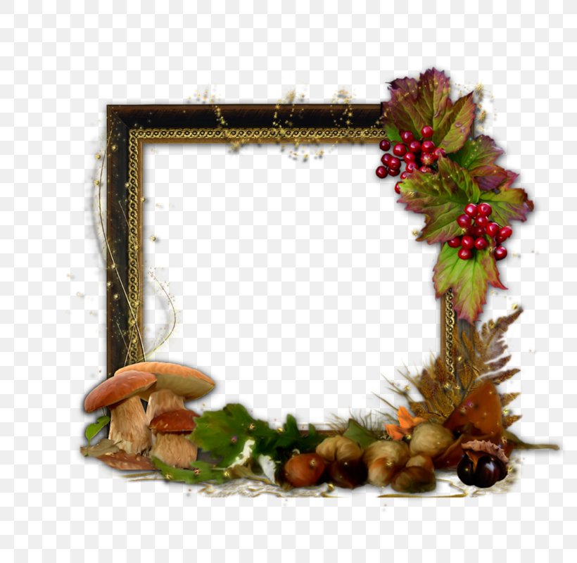 Picture Frames Animaatio Photography, PNG, 800x800px, Picture Frames, Animaatio, Autumn, Collage, Decor Download Free