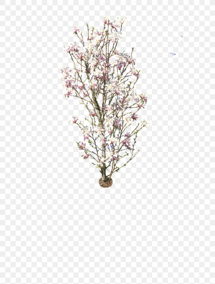 Plum Blossom Common Plum, PNG, 1095x1448px, Plum Blossom, Blossom, Branch, Cherry Blossom, Common Plum Download Free
