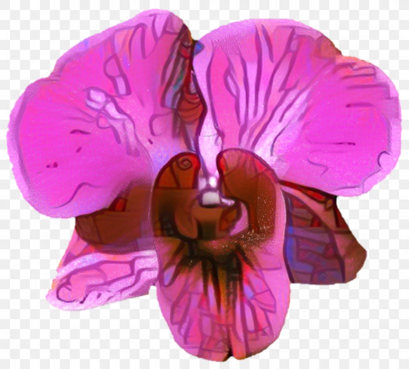 Sweet Pea Flower, PNG, 865x781px, Belur Math, Cattleya, Dendrobium, Devi, Durga Download Free