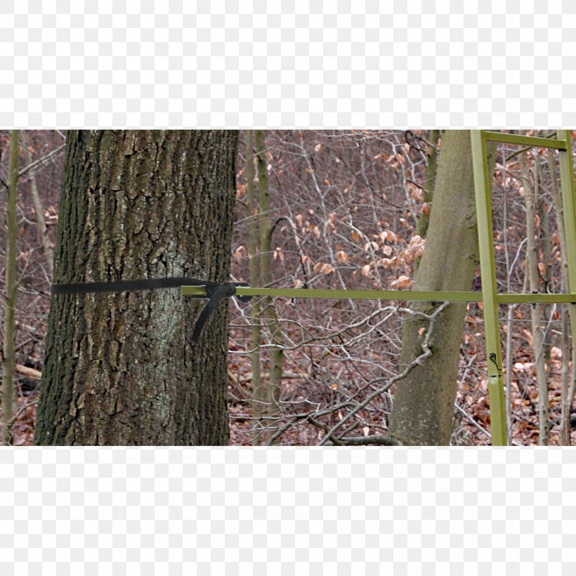 Tree Stands Hunting Weapon Oak, PNG, 1293x1293px, Tree Stands, Branch, German, German Oak, Grass Download Free