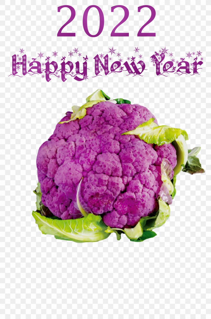 Cauliflower, PNG, 1985x3000px, Watercolor, Beetroot, Cauliflower, Chili Pepper, Eating Download Free