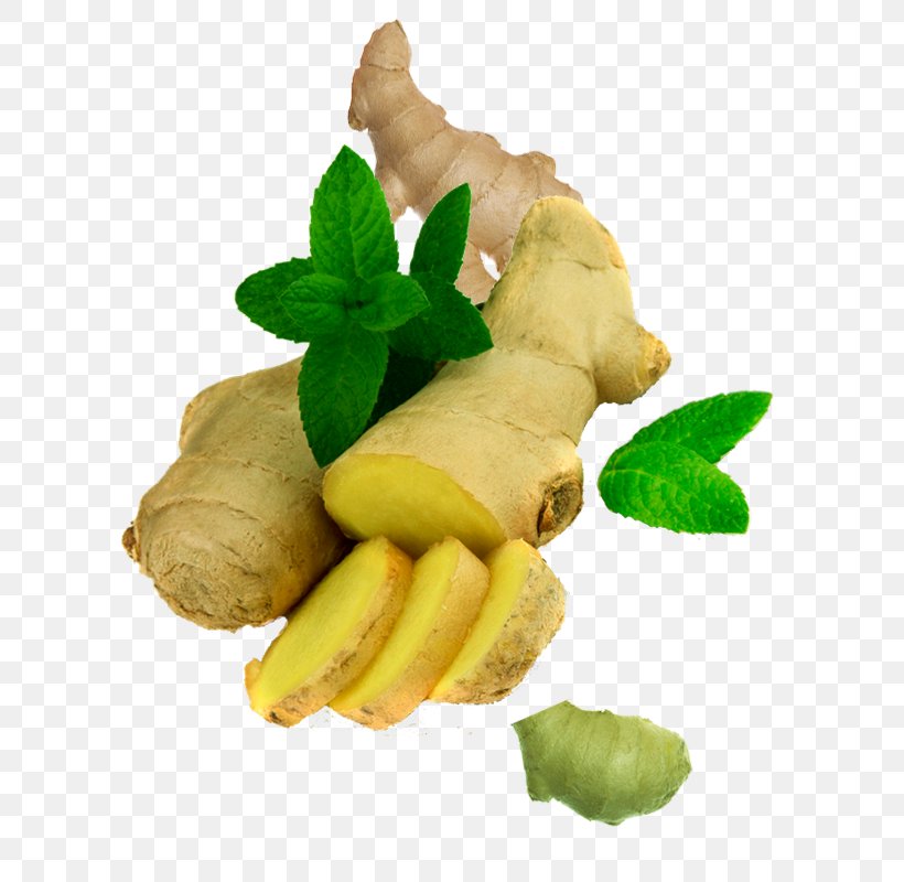 Ginger Icon, PNG, 600x800px, Ginger, Condiment, Digital Image, Food, Root Vegetable Download Free