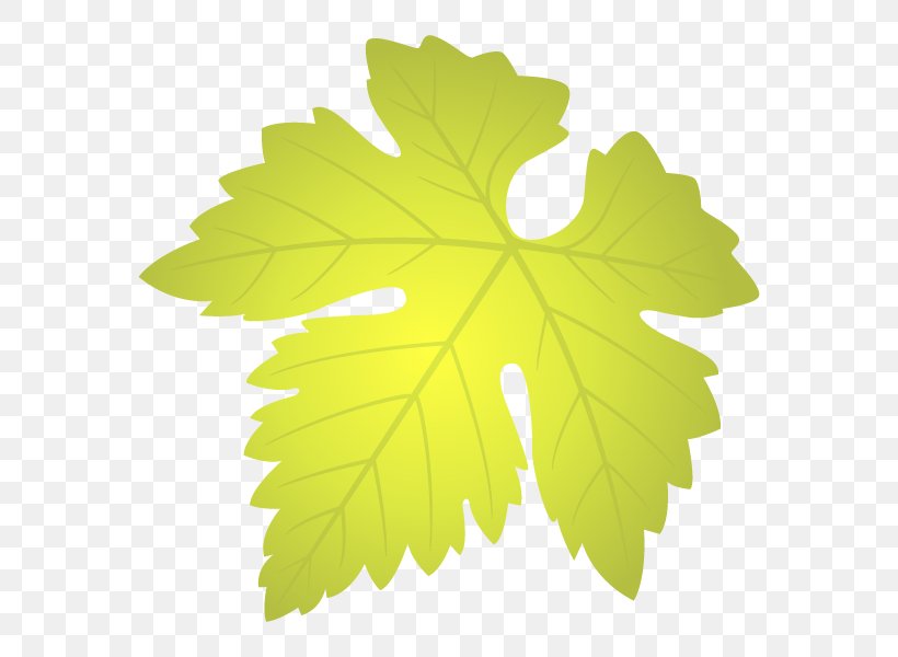 Grapevine Grape Leaves Maple Leaf Family M Invest D.o.o., PNG, 600x600px, Grapevine, Family M Invest Doo, Grape Leaves, Grapevine Family, Leaf Download Free