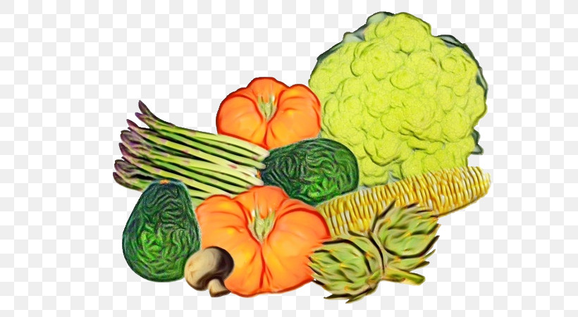 Leaf Vegetable Natural Food Superfood Flower Winter Squash, PNG, 600x450px, Watercolor, Flower, Fruit, Leaf Vegetable, Local Food Download Free