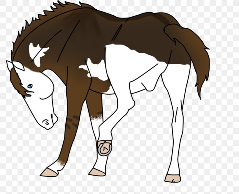 Mule Foal Stallion Mare Colt, PNG, 992x806px, Mule, Bridle, Cartoon, Colt, Donkey Download Free