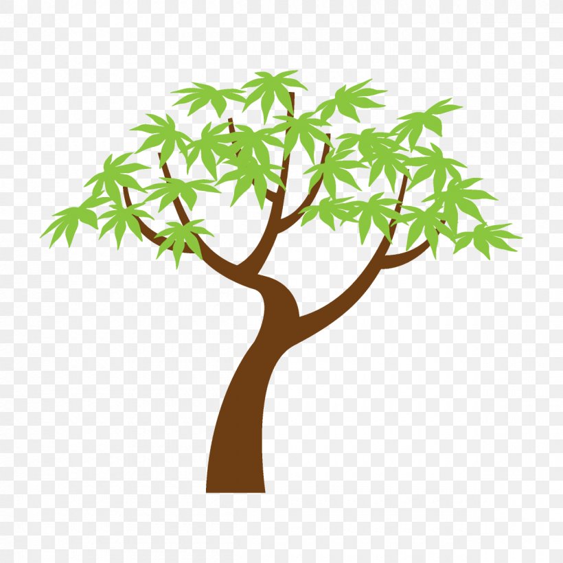 Tree Branch Leaf Plant Green, PNG, 1200x1200px, Maple Tree, Branch, Cartoon Tree, Green, Leaf Download Free