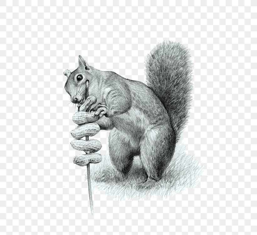 Cat Tree Squirrels Drawing Computer File, PNG, 750x750px, Cat, Black And White, Drawing, Fauna, Gratis Download Free