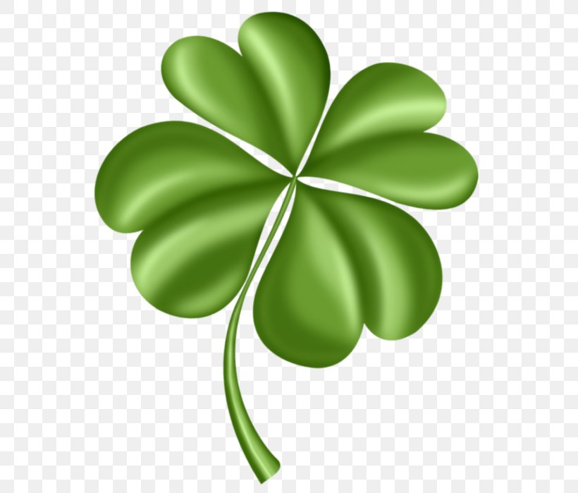 Four-leaf Clover Saint Patrick's Day Computer Icons Clip Art, PNG, 578x699px, Fourleaf Clover, Clover, Flora, Flowering Plant, Green Download Free