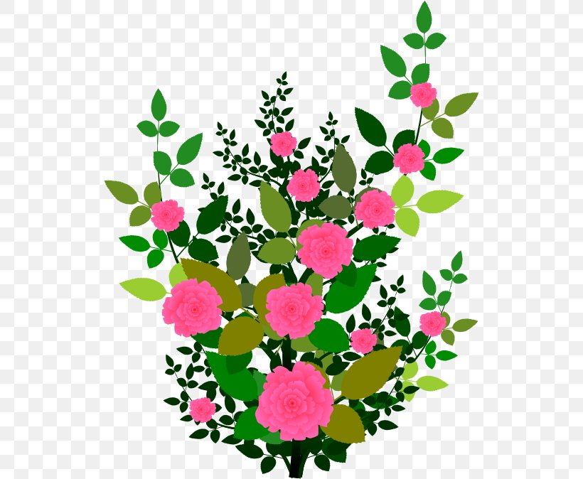 Rose Shrub Plant Flower Clip Art, PNG, 528x674px, Rose, Annual Plant, Blog, Branch, Cut Flowers Download Free