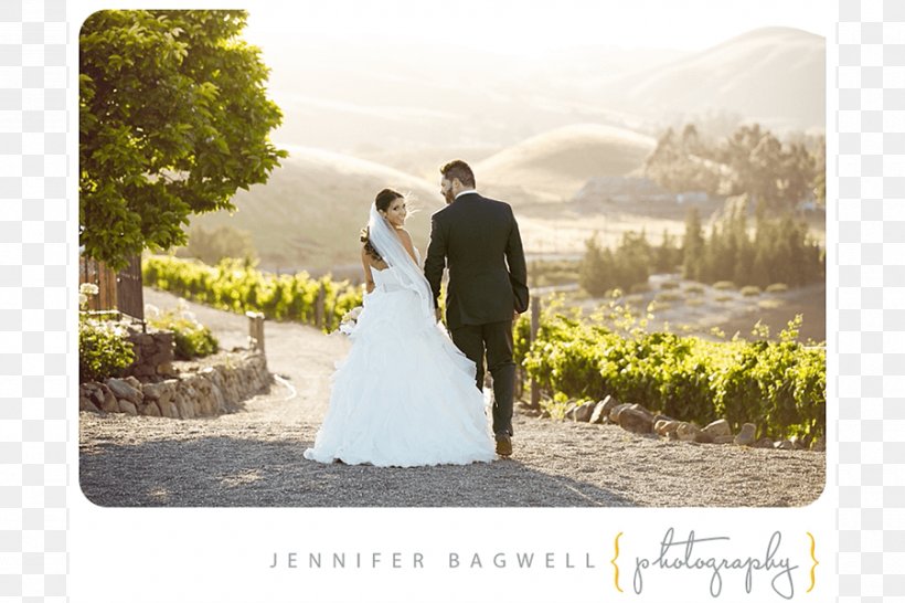 Viansa Sonoma Winery & Tasting Room Wedding Photograph Wine Country Court, PNG, 900x600px, Sonoma, Bride, Ceremony, Flower, Gown Download Free