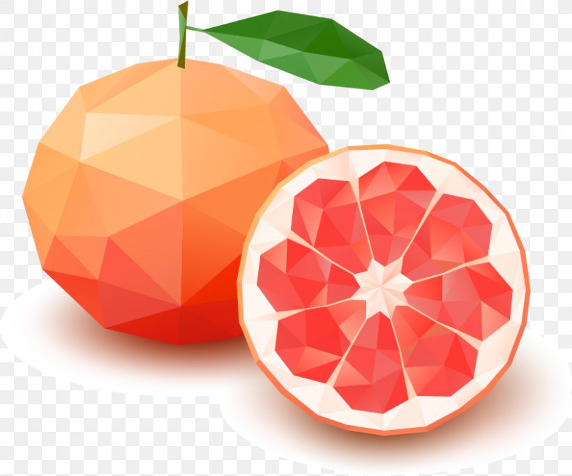 Grapefruit Pomelo Lemon Tangerine Citron, PNG, 842x702px, Grapefruit, Apple, Blood Orange, Citron, Citrus Download Free
