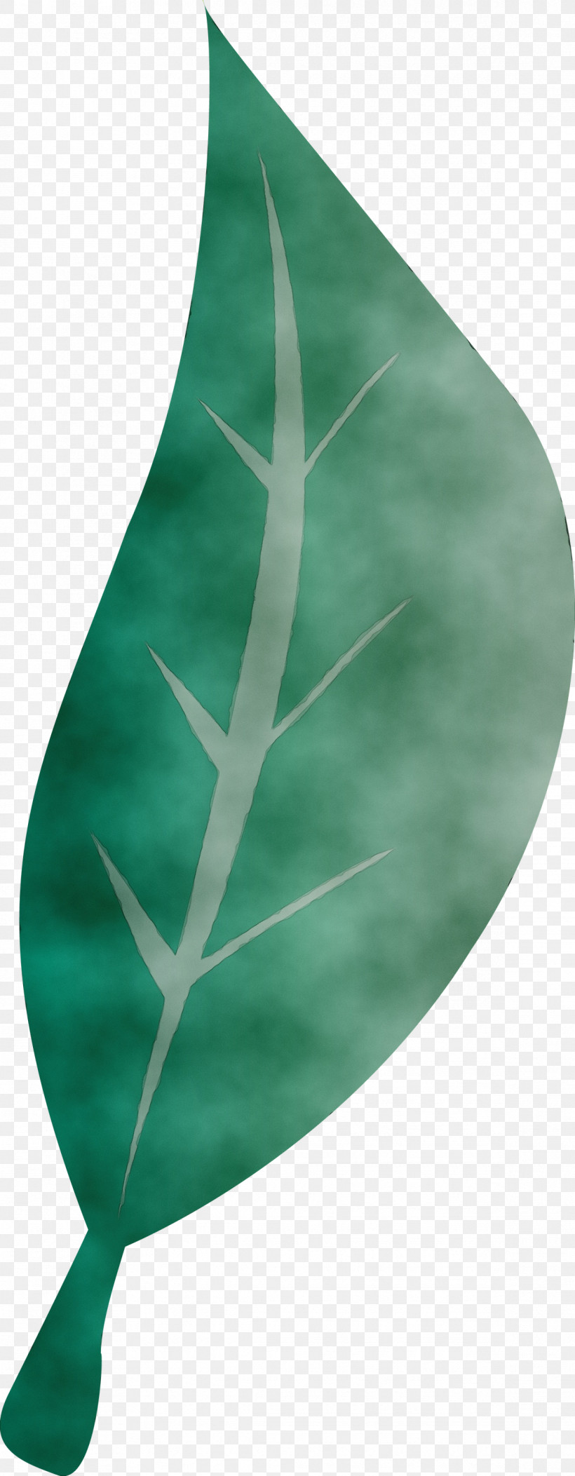Leaf Green Plants Science Biology, PNG, 1168x2999px, Watercolor, Biology, Green, Leaf, Paint Download Free
