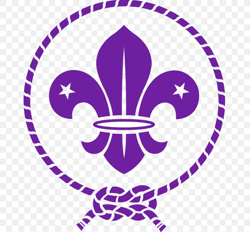Scouting For Boys World Scout Emblem World Organization Of The Scout Movement Boy Scouts Of America, PNG, 665x761px, Scouting For Boys, Area, Artwork, Beaver Scouts, Boy Scouts Of America Download Free