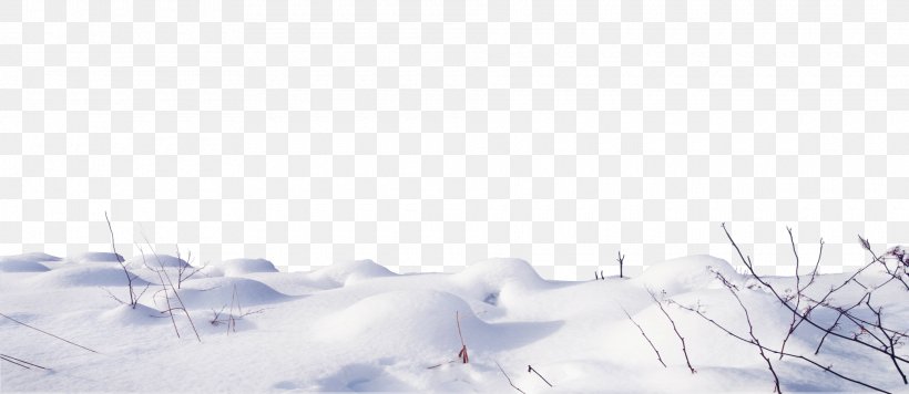Arctic Snow Winter Storm Blizzard, PNG, 1920x835px, Arctic, Blizzard, Computer, Freezing, Frost Download Free