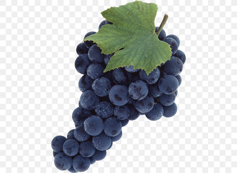 Common Grape Vine Wine, PNG, 466x600px, Common Grape Vine, Berry, Bilberry, Blueberry, Food Download Free