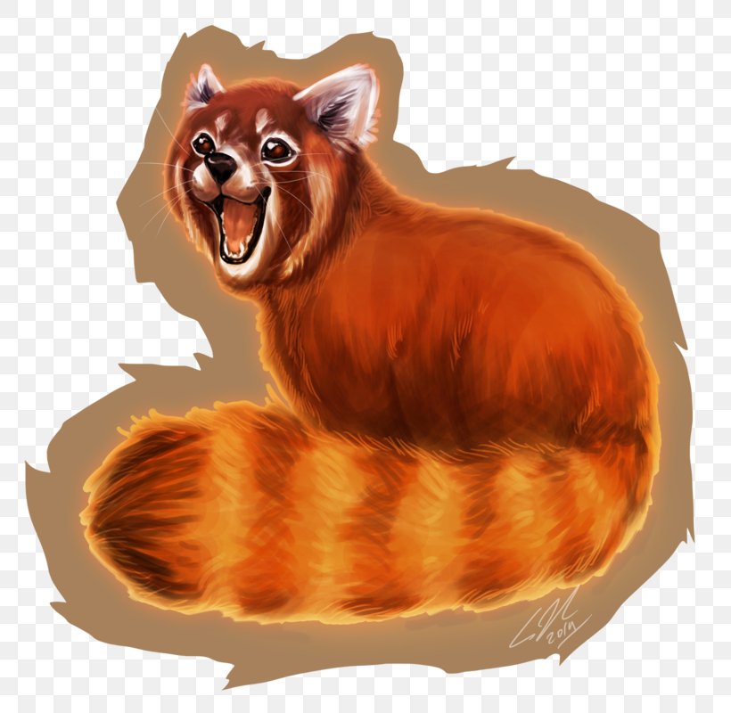 Cat Whiskers Red Panda Carnivora Mammal, PNG, 800x800px, Cat, Animal, Big Cat, Big Cats, Carnivora Download Free