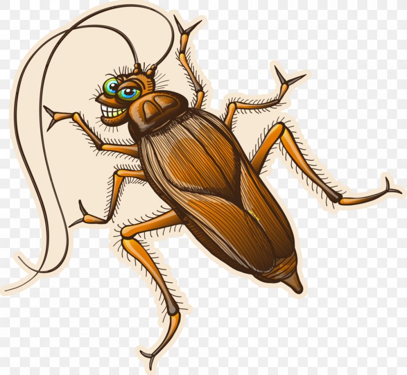 Cockroach Insect Pest Drawing, PNG, 1000x922px, Cockroach, Antenna, Arthropod, Beetle, Brown Cockroach Download Free