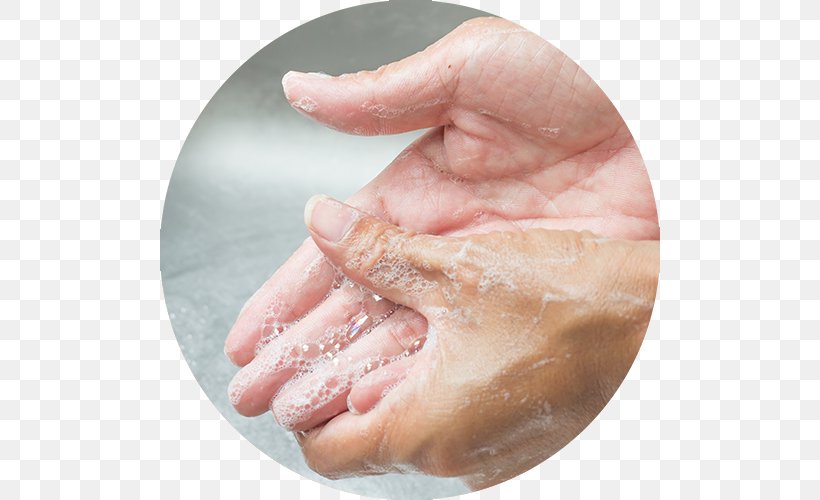 Hand Washing Pinworm Infection Soap Health, PNG, 500x500px, Hand Washing, Finger, Foot, Hand, Health Download Free