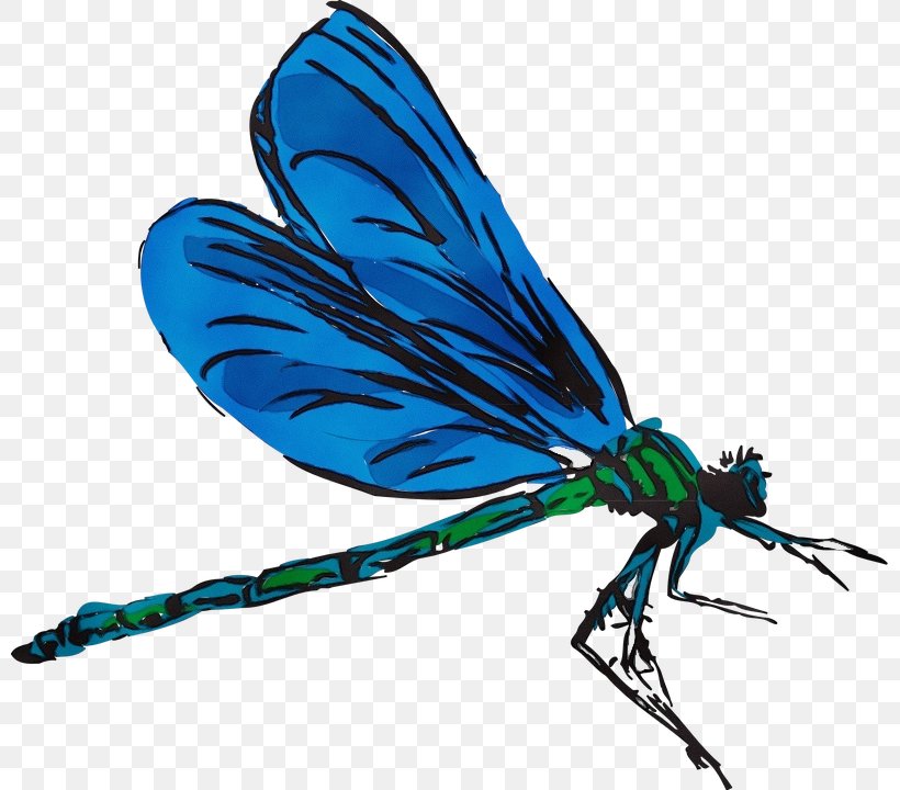 Insect Dragonflies And Damseflies Damselfly Turquoise Wing, PNG, 799x720px, Watercolor, Damselfly, Dragonflies And Damseflies, Fly, Insect Download Free