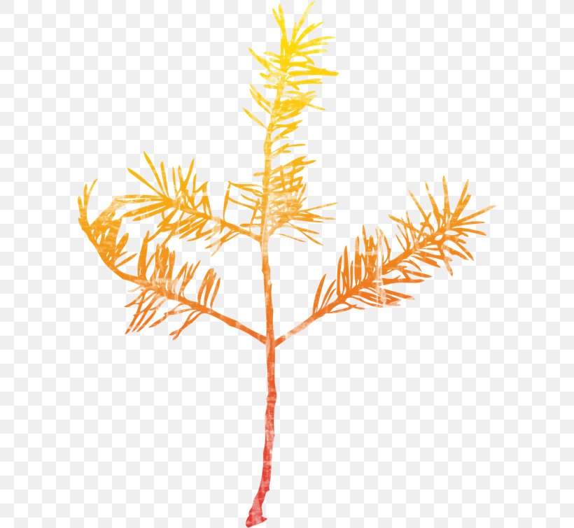 Spruce Twig Leaf Plant Stem, PNG, 600x755px, Spruce, Artificier, Branch, Christmas Ornament, Commodity Download Free