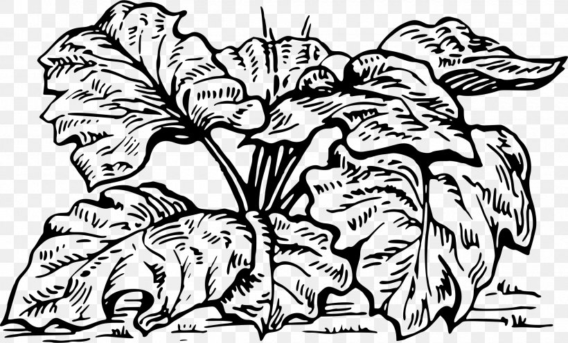 Garden Rhubarb Coloring Book Drawing Gin, PNG, 2400x1453px, Garden Rhubarb, Art, Artwork, Black And White, Child Download Free