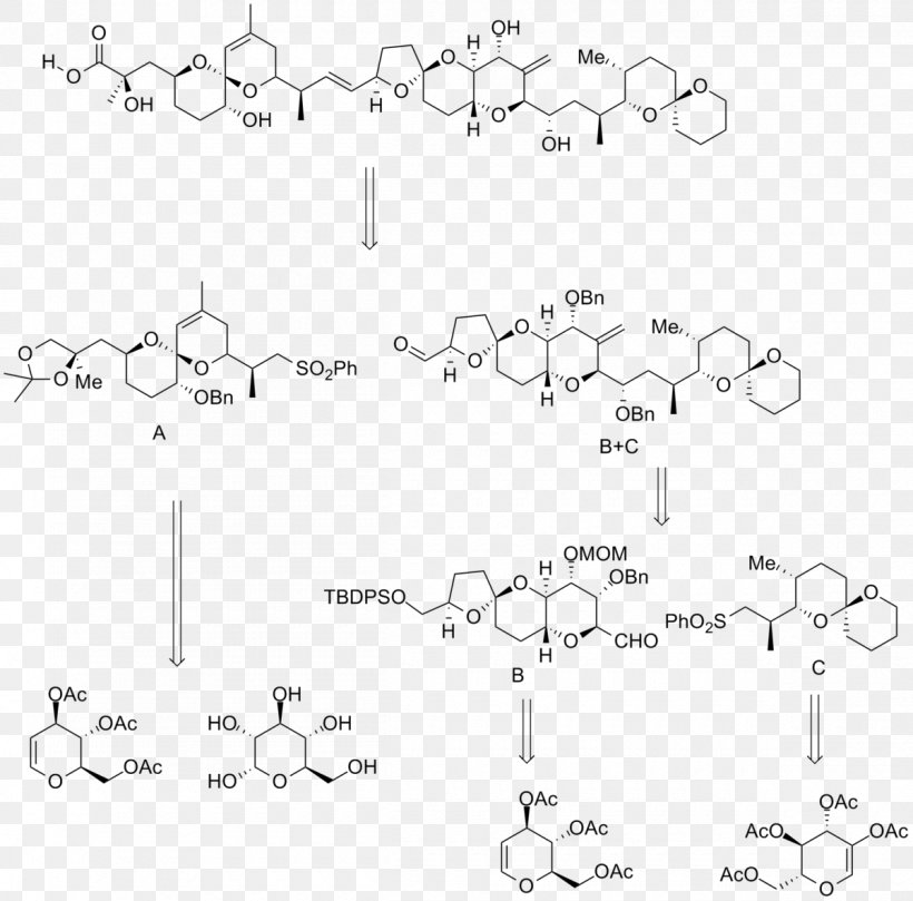 Okadaic Acid Protein Phosphatase Toxin Fatty Acid, PNG, 1200x1185px, Phosphatase, Acid, Area, Auto Part, Biosynthesis Download Free