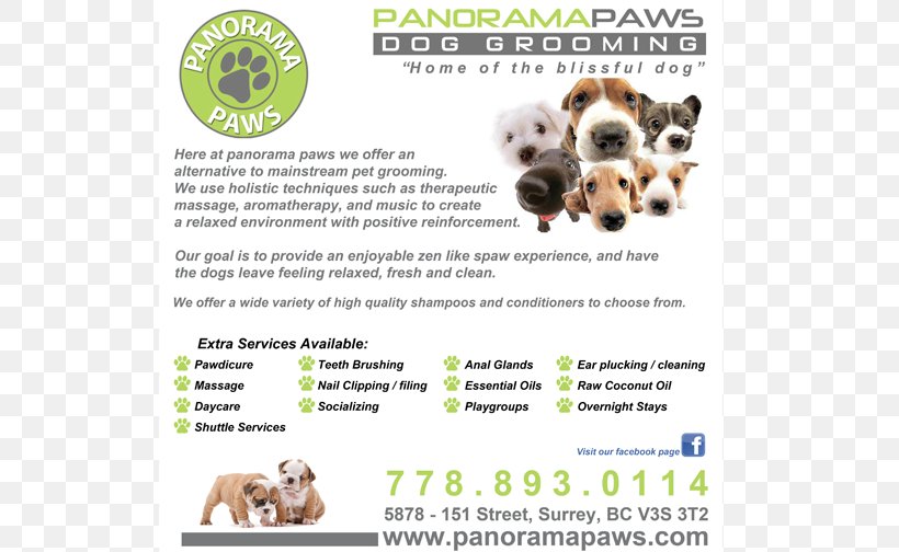 Dog Breed Website Development Poster Design, PNG, 694x504px, Dog Breed, Area, Dog, Dog Grooming, Dog Like Mammal Download Free