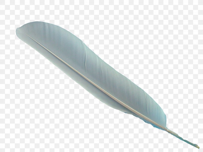 Feather, PNG, 3264x2448px, Feather, Microsoft Azure, Product Design Download Free