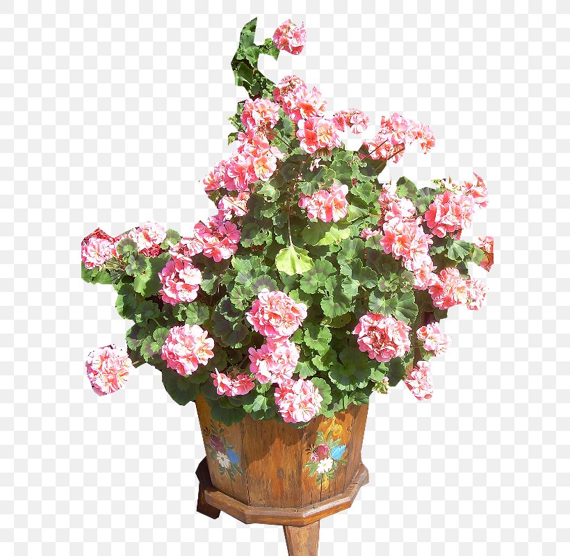 Garden Roses Houseplant Flowerpot Blume, PNG, 600x800px, Garden Roses, Annual Plant, Artificial Flower, Begonia, Blume Download Free
