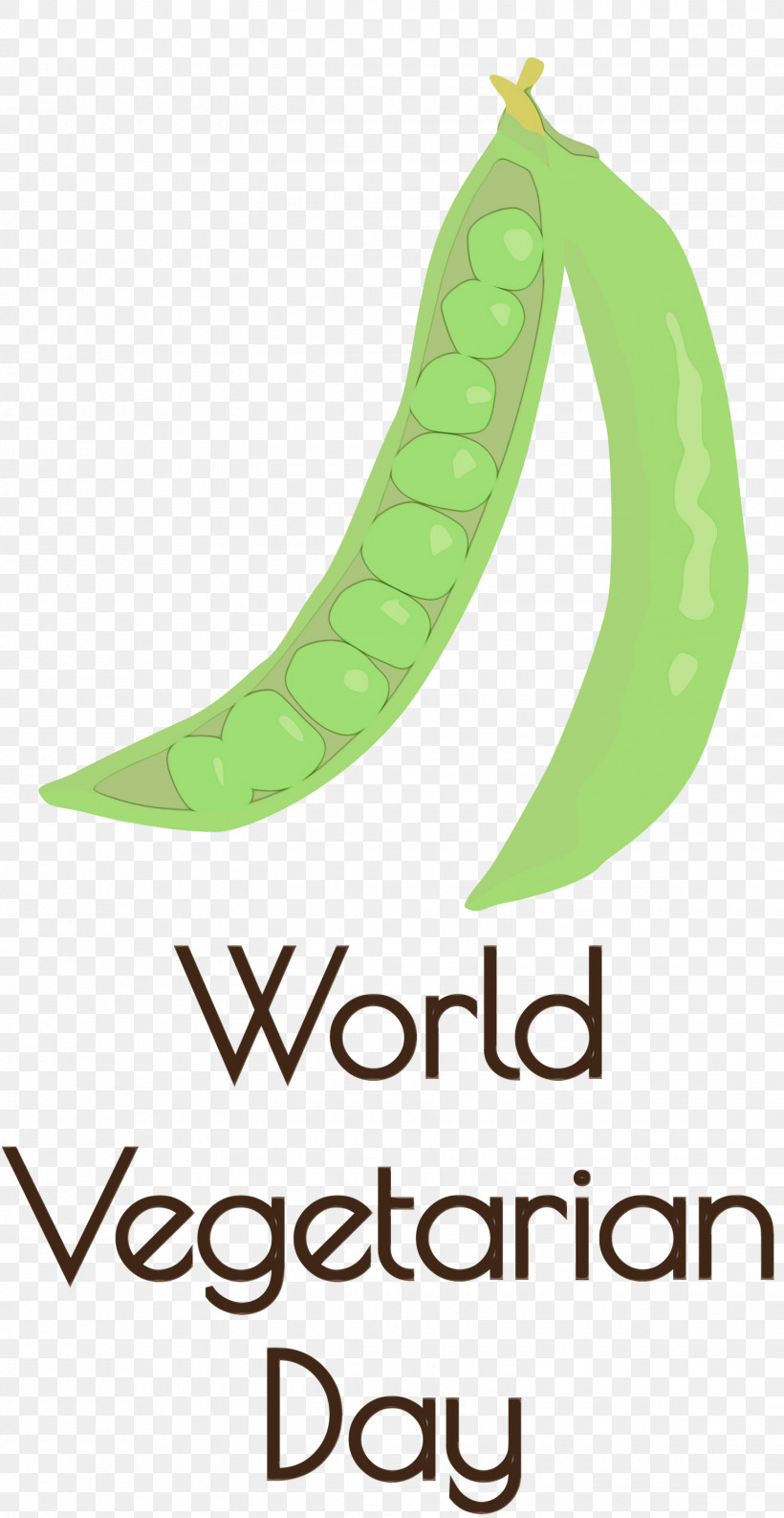 Leaf Banana Font Meter Plant Structure, PNG, 1550x3000px, World Vegetarian Day, Banana, Biology, Leaf, Meter Download Free