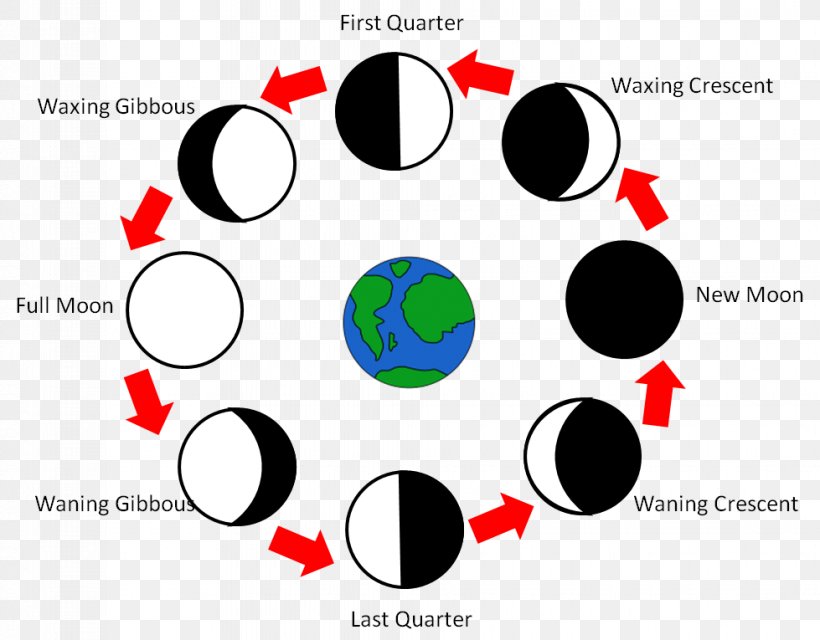 Lunar Phase Moon Number Fourth Grade, PNG, 979x765px, Lunar Phase, Area, Brand, Chemical Element, Communication Download Free