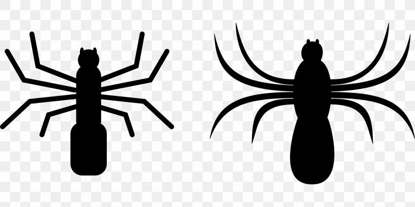 Spider Web Clip Art, PNG, 1920x960px, Spider, Armed Spiders, Artwork, Black And White, Insect Download Free